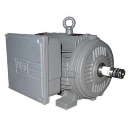 Motores Bifásicos|Continente Ferretero