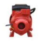 Bomba Periférica 1/2 Hp 110V/60Hz 370 Watts