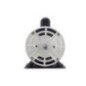 Motor Monofásico 1/2 Hp 2 Polos Uso General 14318232