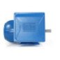 Motor Bifásico 3 Hp 4 Polos Uso General 14039137 WEG0041