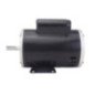 Motor Monofásico 3/4 Hp 2 Pol Uso General 14328593 WEG WEG0005