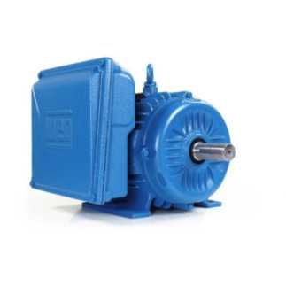 Motor Bifásico 5 Hp 4 Polos Uso General 12241445