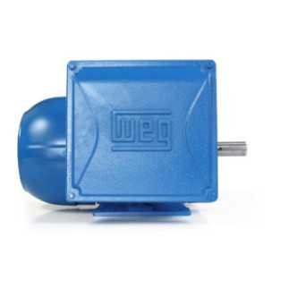 Motor Bifásico 5 Hp 4 Polos Uso General 12241445