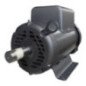Motor Bifásico Uso General 7-1/2 Hp 2 Polos 110/220 V Baldor BAL-L1509T