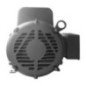 Motor Bifásico Uso General 10 Hp 2 Polos 110/220 V Baldor BAL-L1511T Motor Bifásico Uso General 10 Hp 2 Polos 110/220 V Baldor BAL-L1511T