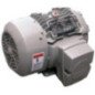 Motor Trifásico Uso General 3 Hp 2 polos 182T ABB A7B10001013495 Motor Trifásico Uso General 3 Hp 2 polos 182T ABB A7B10001013495