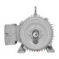 Motor Trifásico Uso General 3 Hp 4 polos 182T ABB A7B10001013480