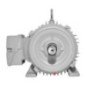 Motor Trifásico Uso General 10 Hp 4 polos 215T ABB A7B10001013481