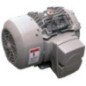 Motor Trifásico Uso General 30 Hp 2 polos 286TS ABB A7B10001014931