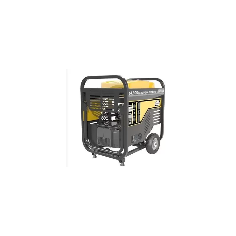 Generador Trifásico De 14.5 Kva Pico Con Motor Evans Vgt145Mg2300Bs