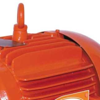 Bomba Centrifuga 5Hp 3X2 EVANS V6IME500