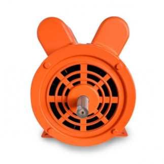 Motor Monofásico 2 Hp 4 Polos Uso General VE4E200