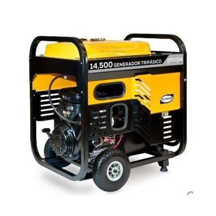Generador Trifásico De 14.5 Kva Pico Con Motor Evans Vgt145Mg2300Bs