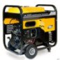 Generador Trifásico De 14.5 Kva Pico Con Motor Evans Vgt145Mg2300Bs