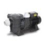 Bomba Alberca .5Hp 110/220V 1.5" HP1.5ME050