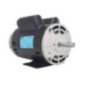 Motor Monofásico 2 Hp 2 Polos Uso General 14376525 WEG WEG0011 Motor Monofásico 2 Hp 2 Polos Uso General 14376525 WEG WEG0011