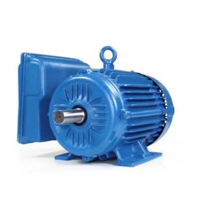 Motor Bifásico 10 Hp Baja Uso General Weg 14039235