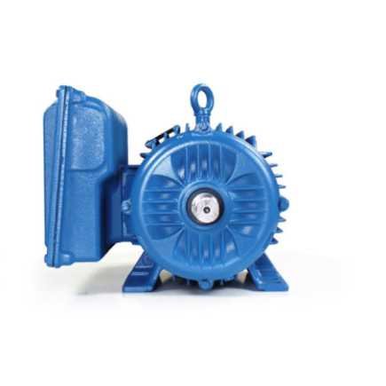 Motor Bifásico 10 Hp Baja Uso General Weg 14039235