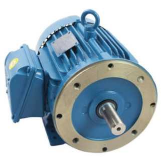 Motor Bifásico 7-1/2 HP 4 Polos Brida "C" 14767956