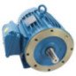 Motor Bifásico 7-1/2 HP 4 Polos Brida "C" 14767956 Motor Bifásico 7-1/2 HP 4 Polos Brida "C" 14767956