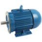 Motor Bifásico 7-1/2 HP 4 Polos Brida "C" 14767956 Motor Bifásico 7-1/2 HP 4 Polos Brida "C" 14767956