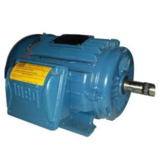 Motor Trifasico 2 Hp 2 Polos 12906475 WEG WEG0088