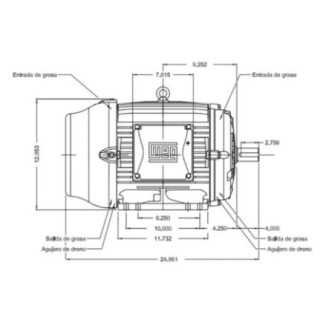 Motor Trifasico 15 Hp 4 Polos 12860555 WEG WEG0109