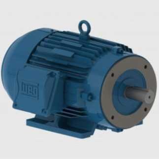 Motor Trifásico 5 Hp 4 Polos Brida "C" W22 220/460 WEG WEG0345