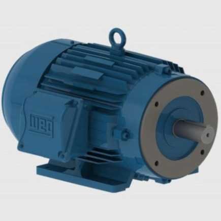 Motor Trifásico 5 Hp 4 Polos Brida "C" W22 220/460 WEG WEG0345