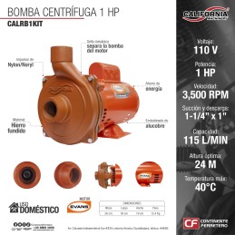 Bomba Centrífuga 1-1/4" x 1" 1 Hp 110 V Motor EVANS CALIFORNIA MACHINERY CALRB1KIT CALRB1KIT CALIFORNIA MACHINERY