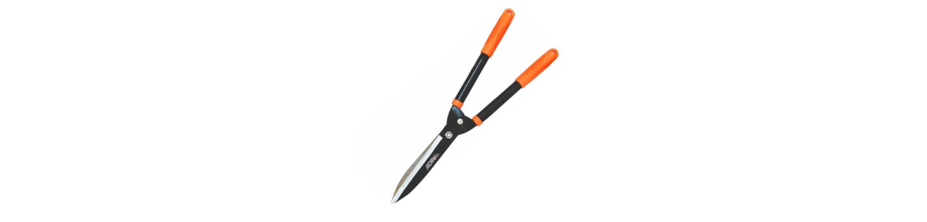 %category-name% %separator% %shop-name%