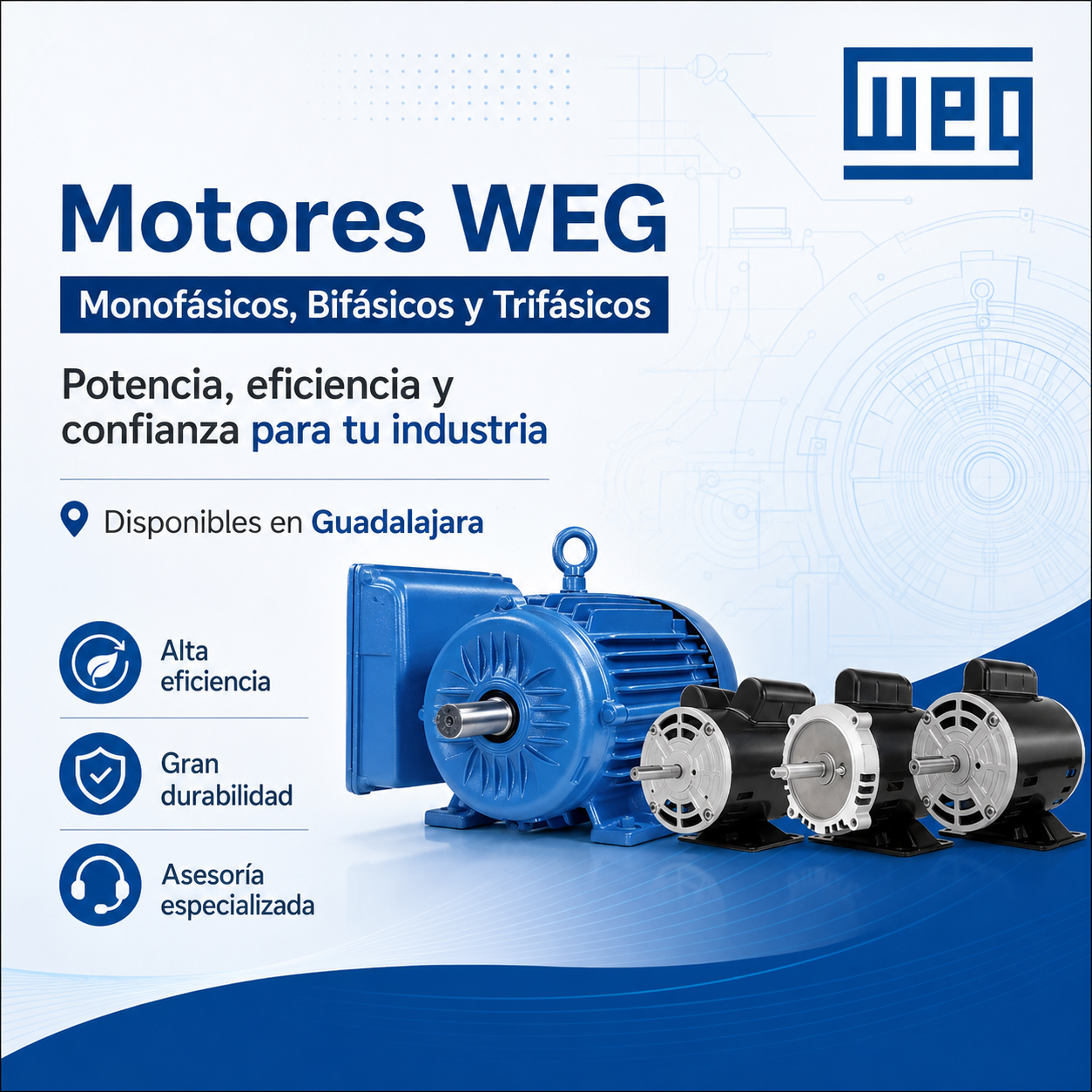 Motores WEG