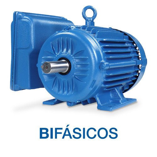 Motores Weg Bifasicos